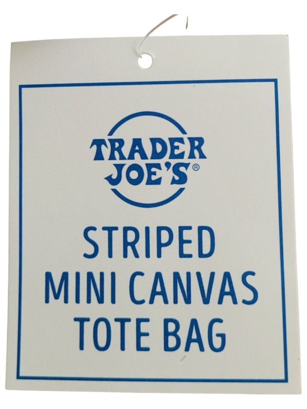 Trader Joe's Seafoam Green Striped Mini Canvas Tote Bag NWT Summer 2026 - Picture 3 of 5